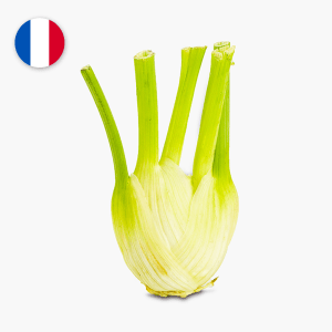Fenouil - 500 g (France) Fenouil - 500 g (France)