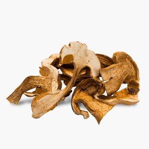 Steinpilzköpfe getrocknet 30g (Balkan) Steinpilzköpfe getrocknet 30g (Balkan)
