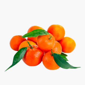 Clémentines bio - 1 kg (Espagne) Clémentines bio - 1 kg (Espagne)