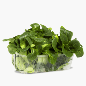 Bonduelle Frischer Feldsalat 100g Bonduelle Frischer Feldsalat 100g