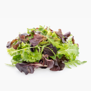 Bio Pflücksalat 125g (Italien) Bio Pflücksalat 125g (Italien)