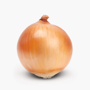 Bio Zwiebel 1 Stk. (Niederlande) Bio Zwiebel 1 Stk. (Niederlande)