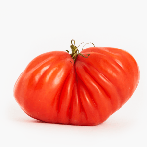 Tomaten Coeur de Boeuf 1 Stk. (Niederlande) Tomaten Coeur de Boeuf 1 Stk. (Niederlande)