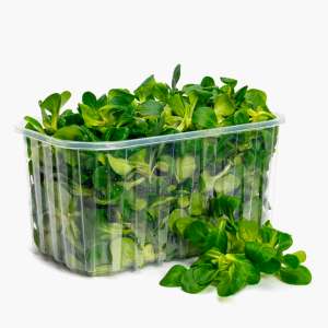Feldsalat 150g Feldsalat 150g