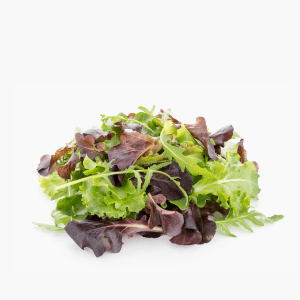 Blattsalatmischung Baby Leaf 250g (Niederlande) Blattsalatmischung Baby Leaf 250g (Niederlande)