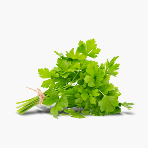 Petersilie glatt 30g Petersilie glatt 30g