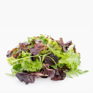 Baby Salatmix 100g Baby Salatmix 100g