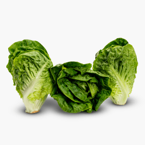 Romana Salat 3 Stk. (Spanien) Romana Salat 3 Stk. (Spanien)