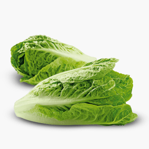 Bio Romana Salat Mini 2 Stk. (Deutschland) Bio Romana Salat Mini 2 Stk. (Deutschland)