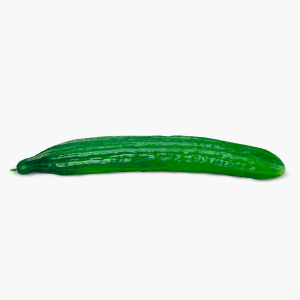 Bio Gurke 1 Stk. (Deutschland) Bio Gurke 1 Stk. (Deutschland)