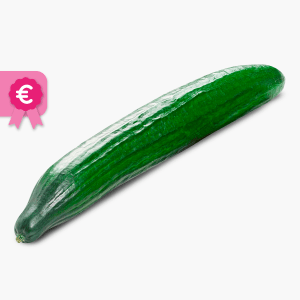 Gurke 1 Stk. (Spanien) Gurke 1 Stk. (Spanien)
