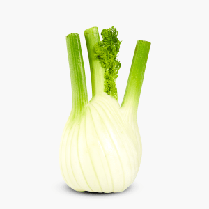 Fenchel 1 Stk. (Niederlande) Fenchel 1 Stk. (Niederlande)