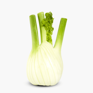 Fenchel 1 Stk. (Italien) Fenchel 1 Stk. (Italien)