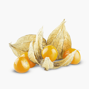 Physalis 125g (Kolumbien) Physalis 125g (Kolumbien)