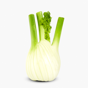 Fenchel 1 Stk. (Deutschland) Fenchel 1 Stk. (Deutschland)