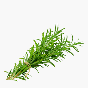 Rosmarin 15g Rosmarin 15g
