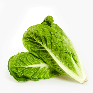 Romana Salat 2 Stk. (Spanien) Romana Salat 2 Stk. (Spanien)
