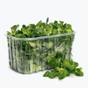 Feldsalat 125g Feldsalat 125g