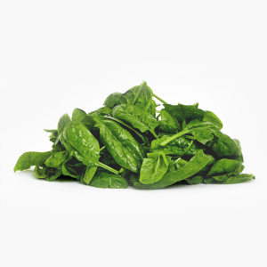 Bio Baby Spinat 100g (Italien) Bio Baby Spinat 100g (Italien)