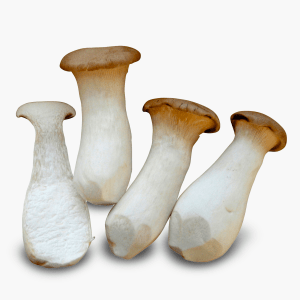 Kräuterseitlinge 150g (Niederlande) Kräuterseitlinge 150g (Niederlande)
