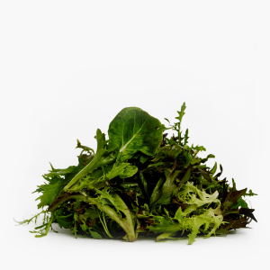 Bio Mixsalat 125g Bio Mixsalat 125g