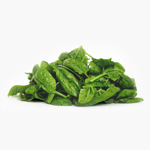 Bio Baby Spinat 100g (Deutschland) Bio Baby Spinat 100g (Deutschland)