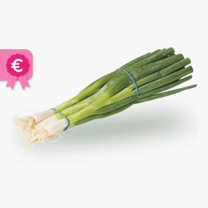 Bosje Bosuien Bosje Bosuien