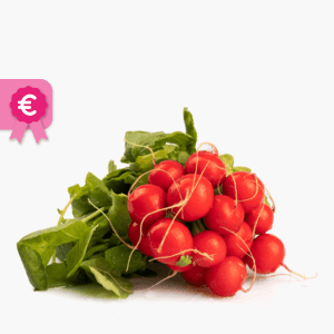Bosje Radijs Bosje Radijs