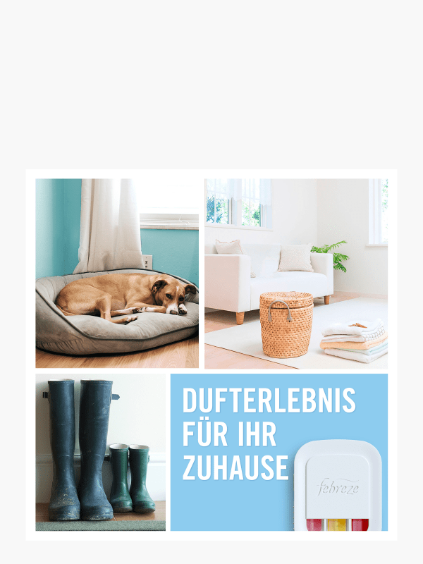 Febreze 3volution Duftstecker 1 Stück bei Flink online bestellen!