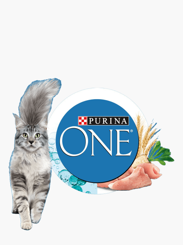 Croquettes pour chats d'intérieur élaborées avec de la dinde Purina One -  1,5kg