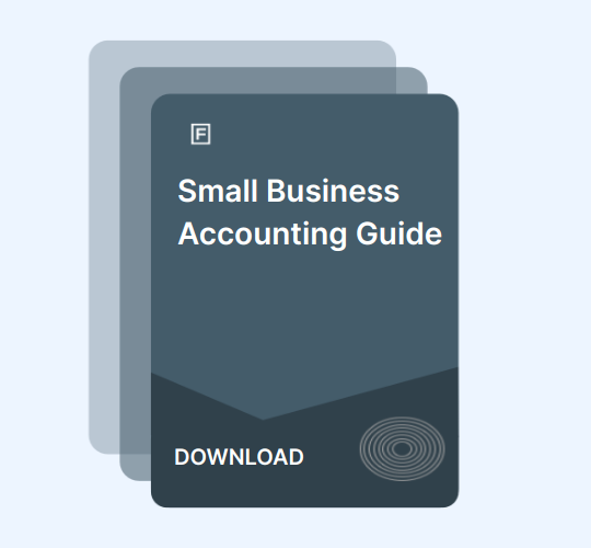 Small Business Accounting Guide