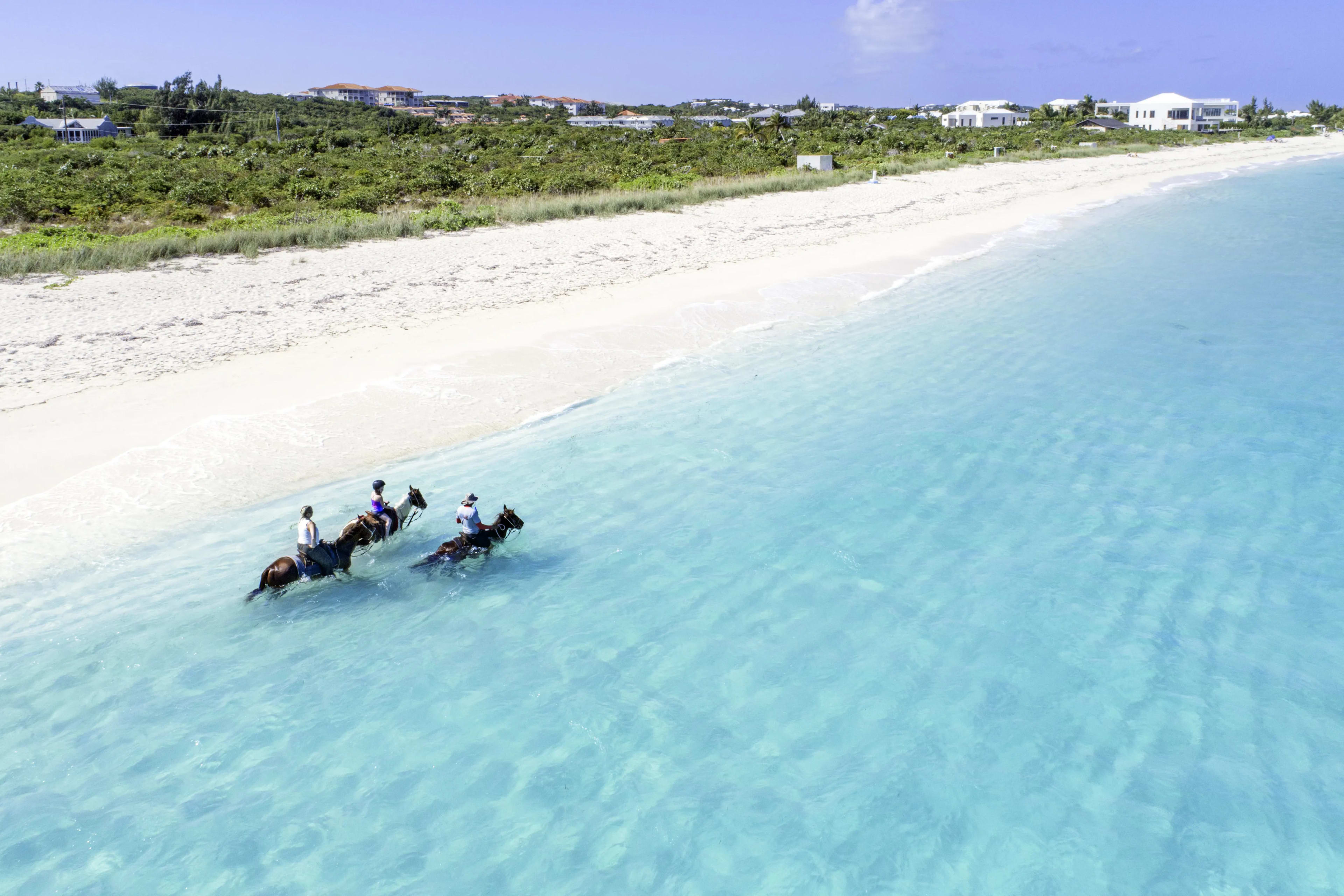 Beginner Friendly Horseback Ride and Swim Tour