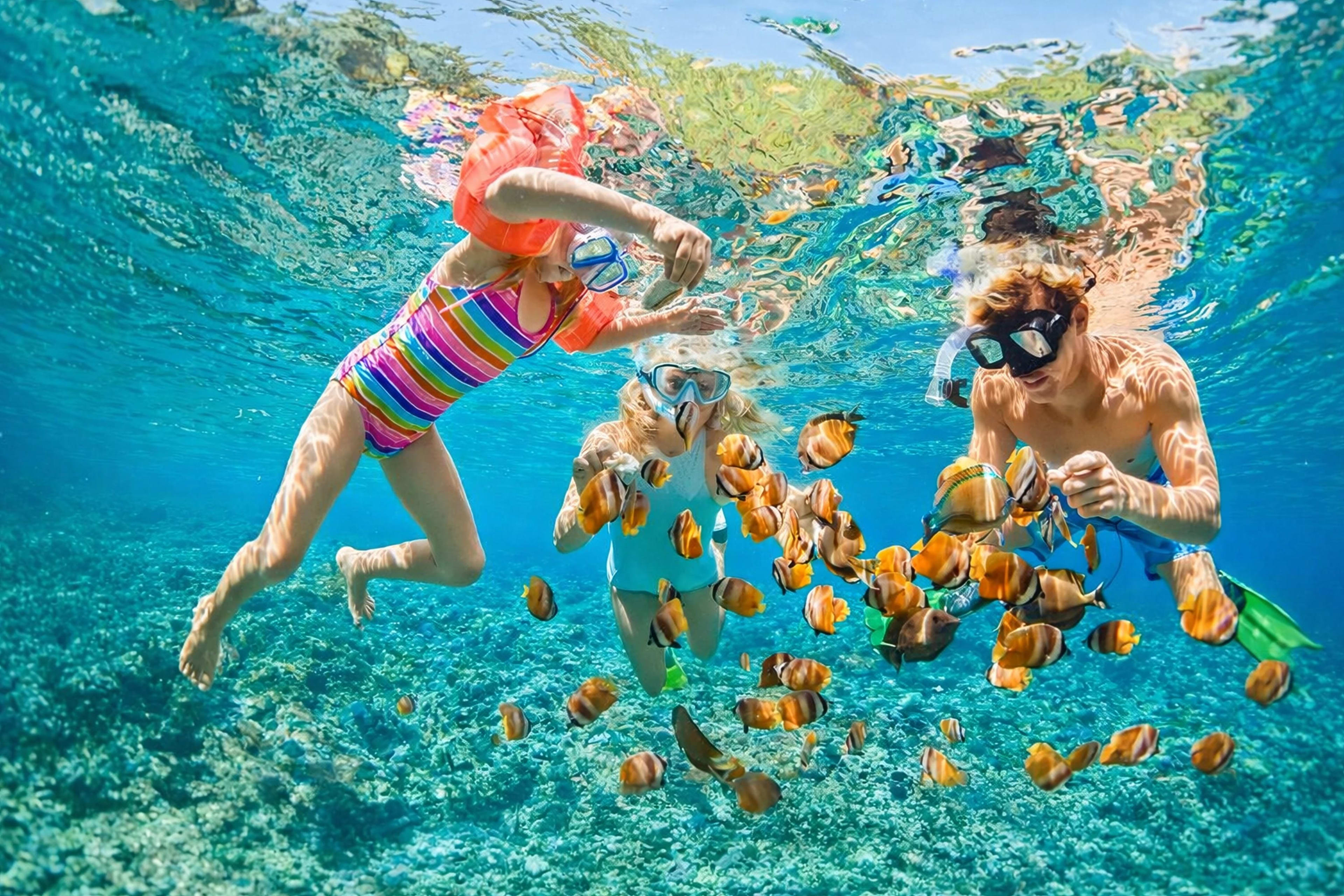 Half Day Safari Tour & Snorkelling