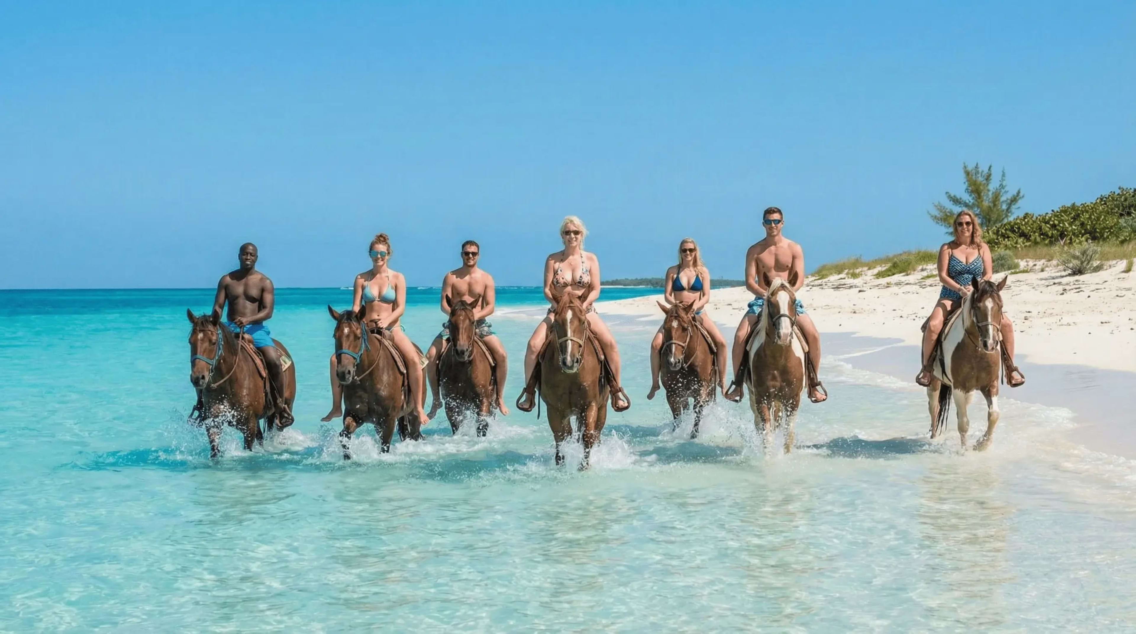 Regular Horseback Ride and Swim Tour
