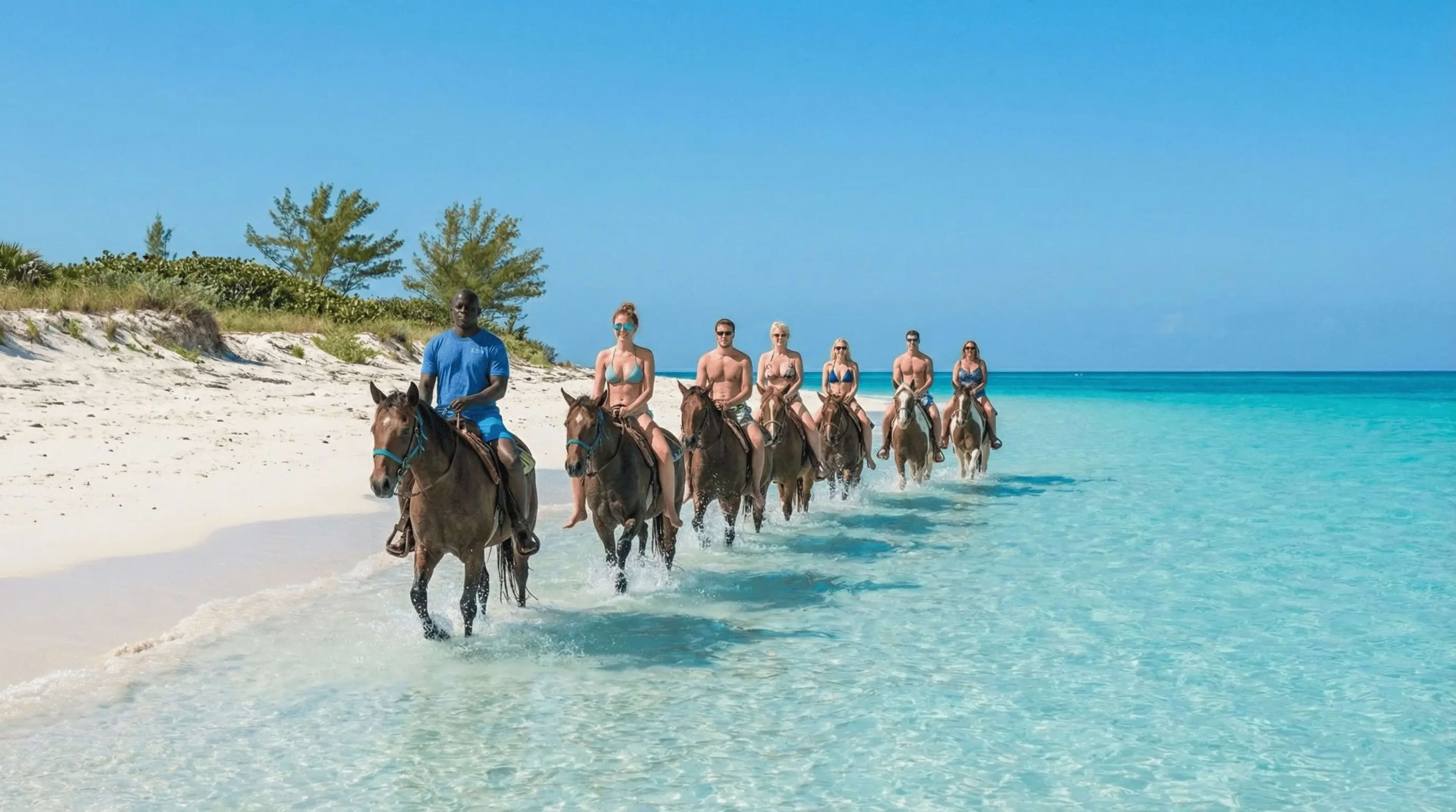 Regular Horseback Ride and Swim Tour - Image 2