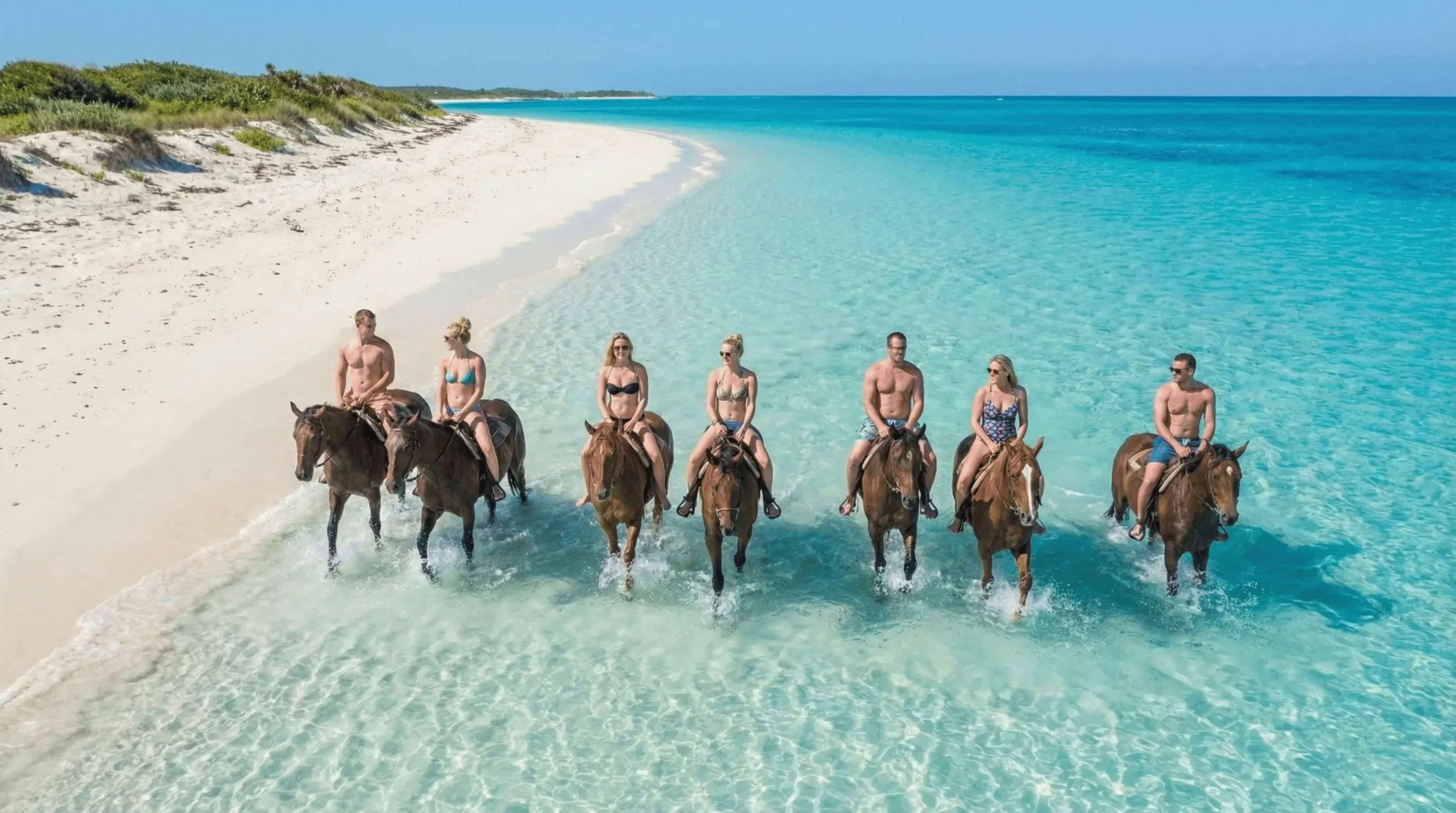 Sunrise Horseback Riding & Snorkel Safari