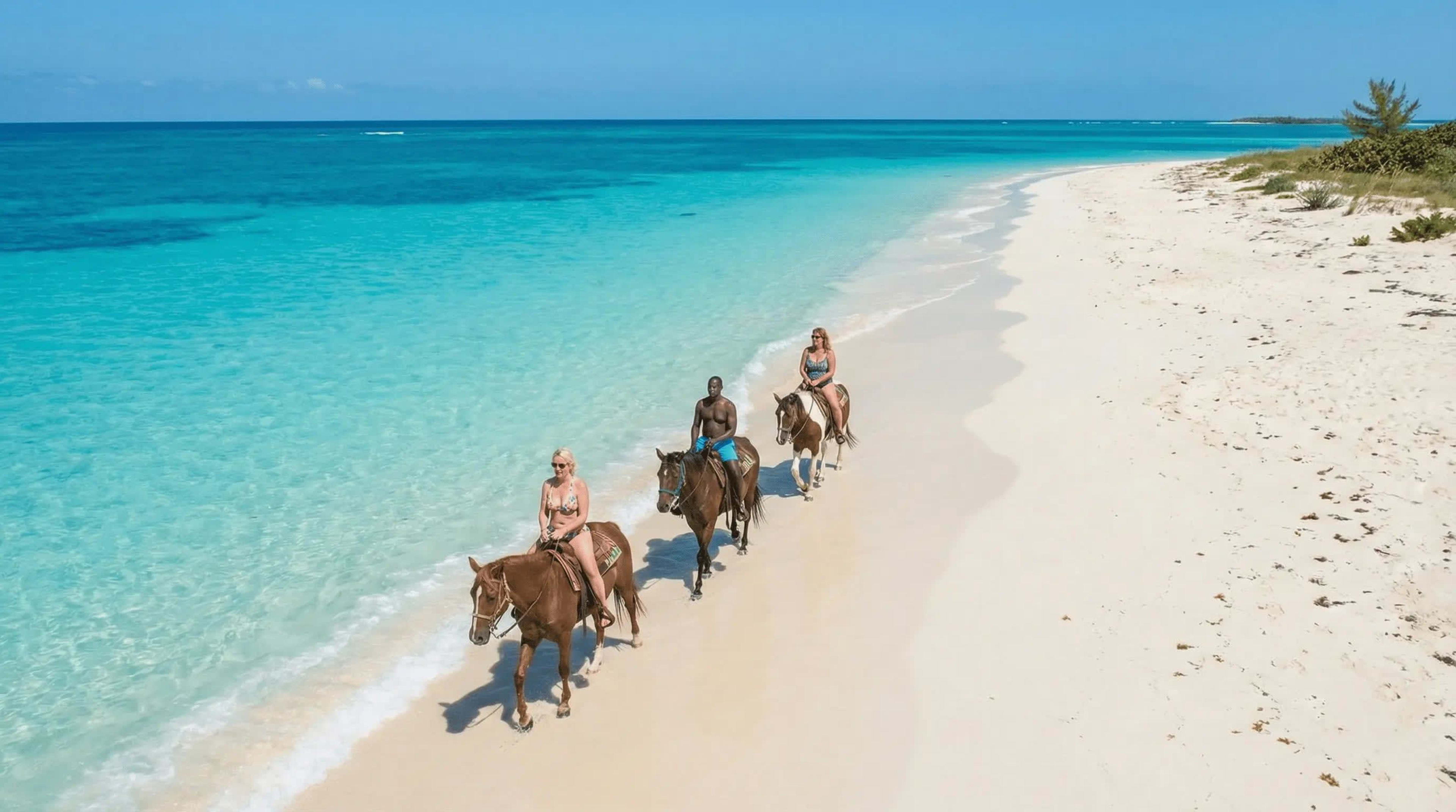 9:30 AM Private Horseback Ride and Swim