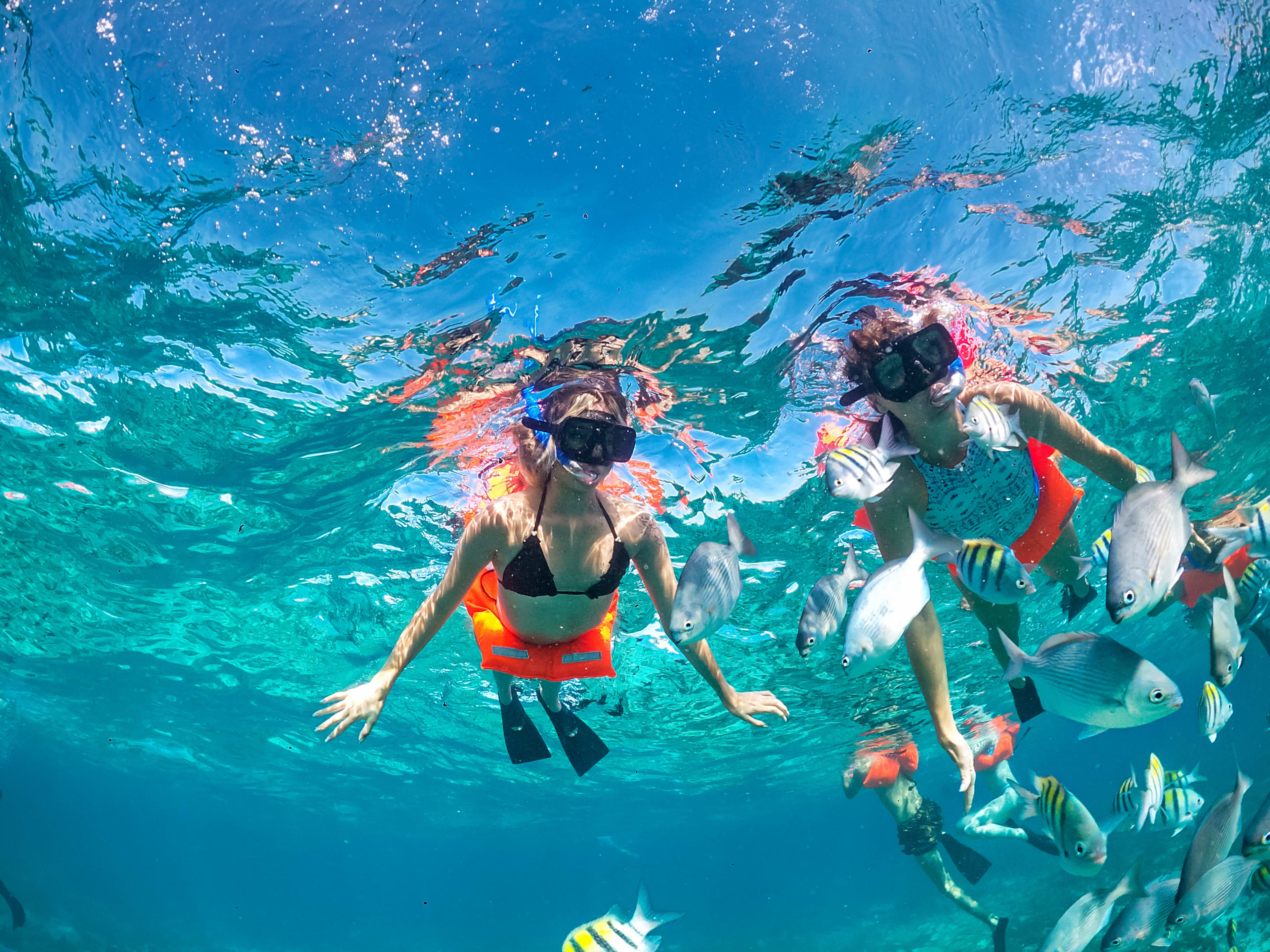 Isla Mujeres - Image 2