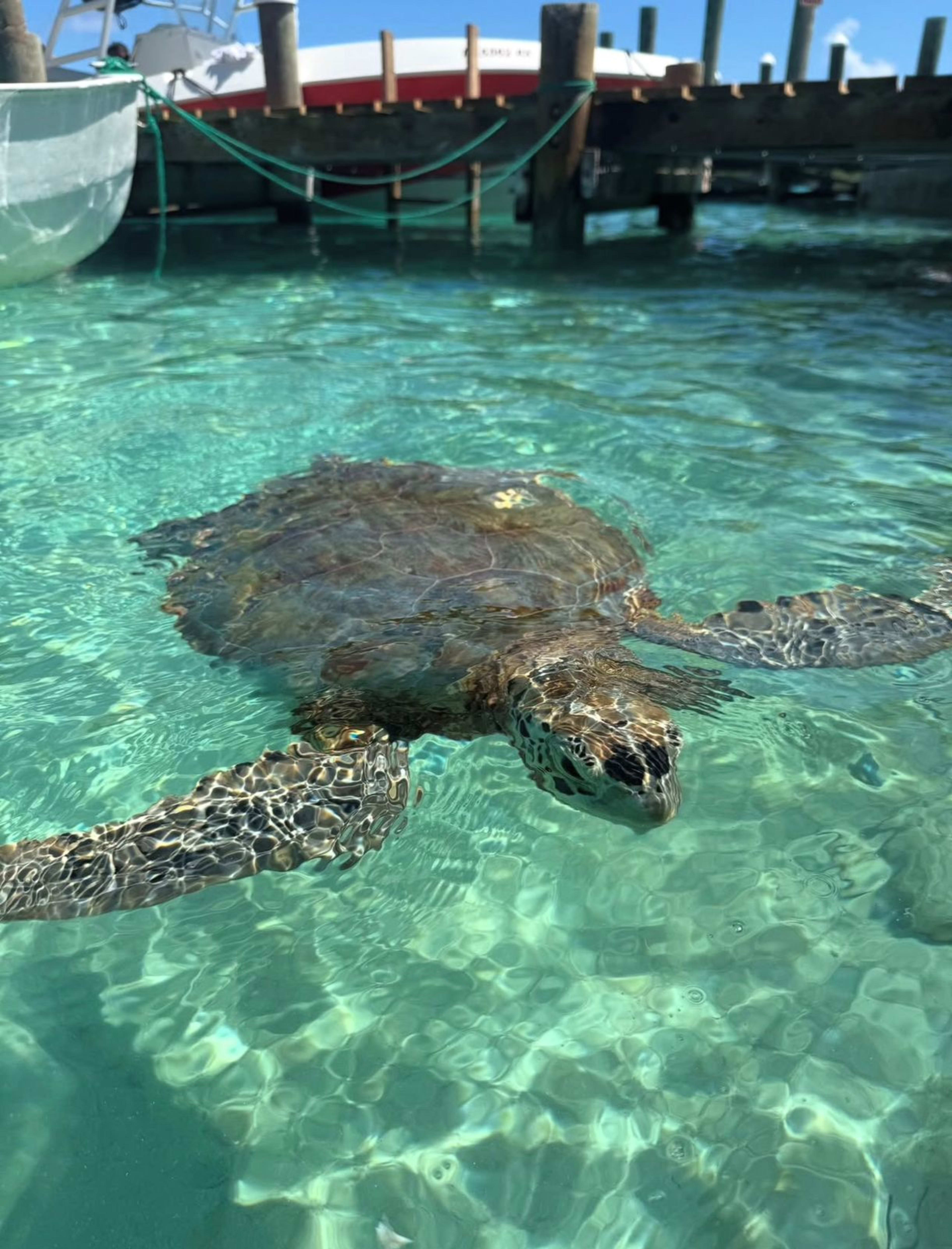 Clear Water Boat Experience - Image 2