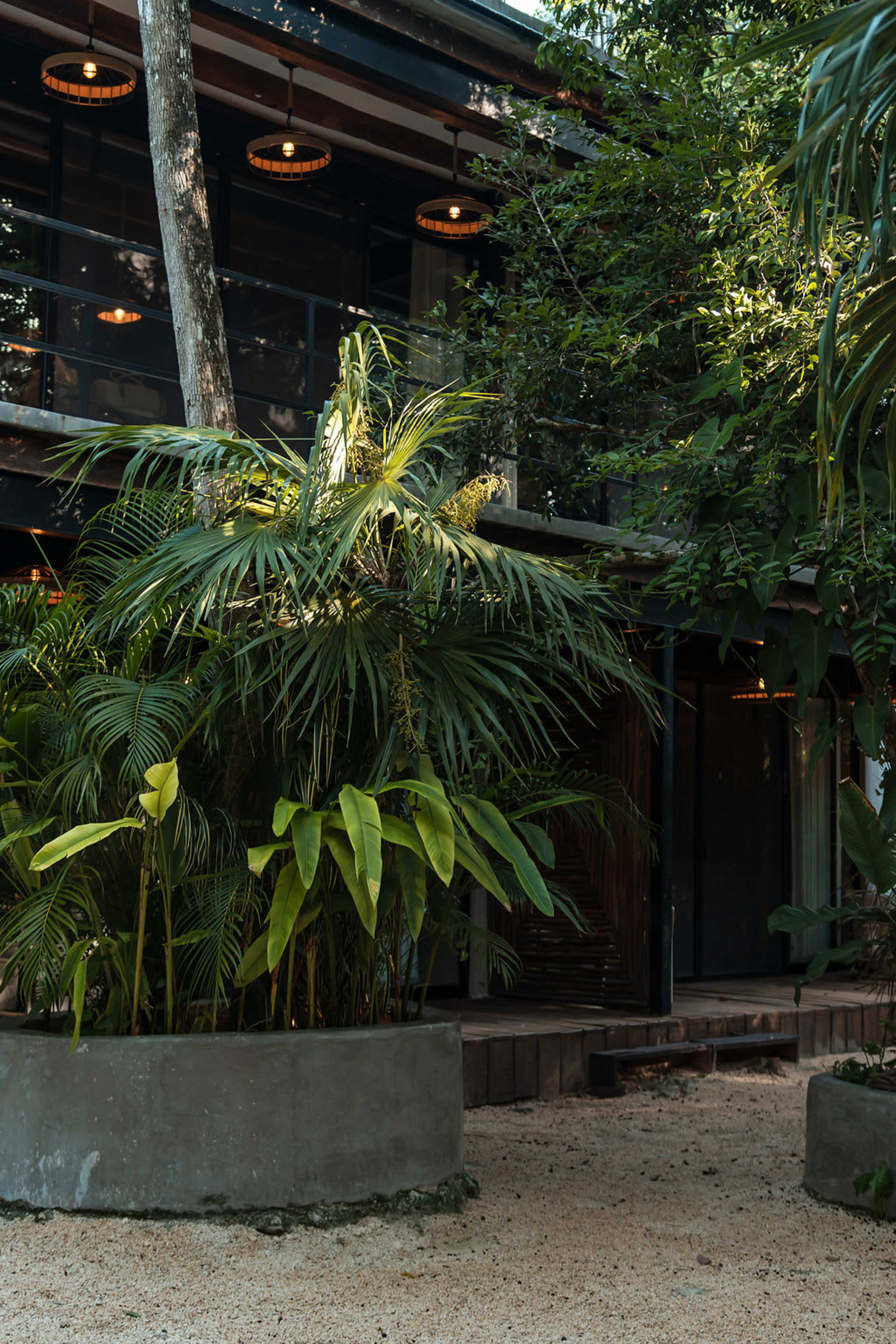 Casa Tattva - photo 3