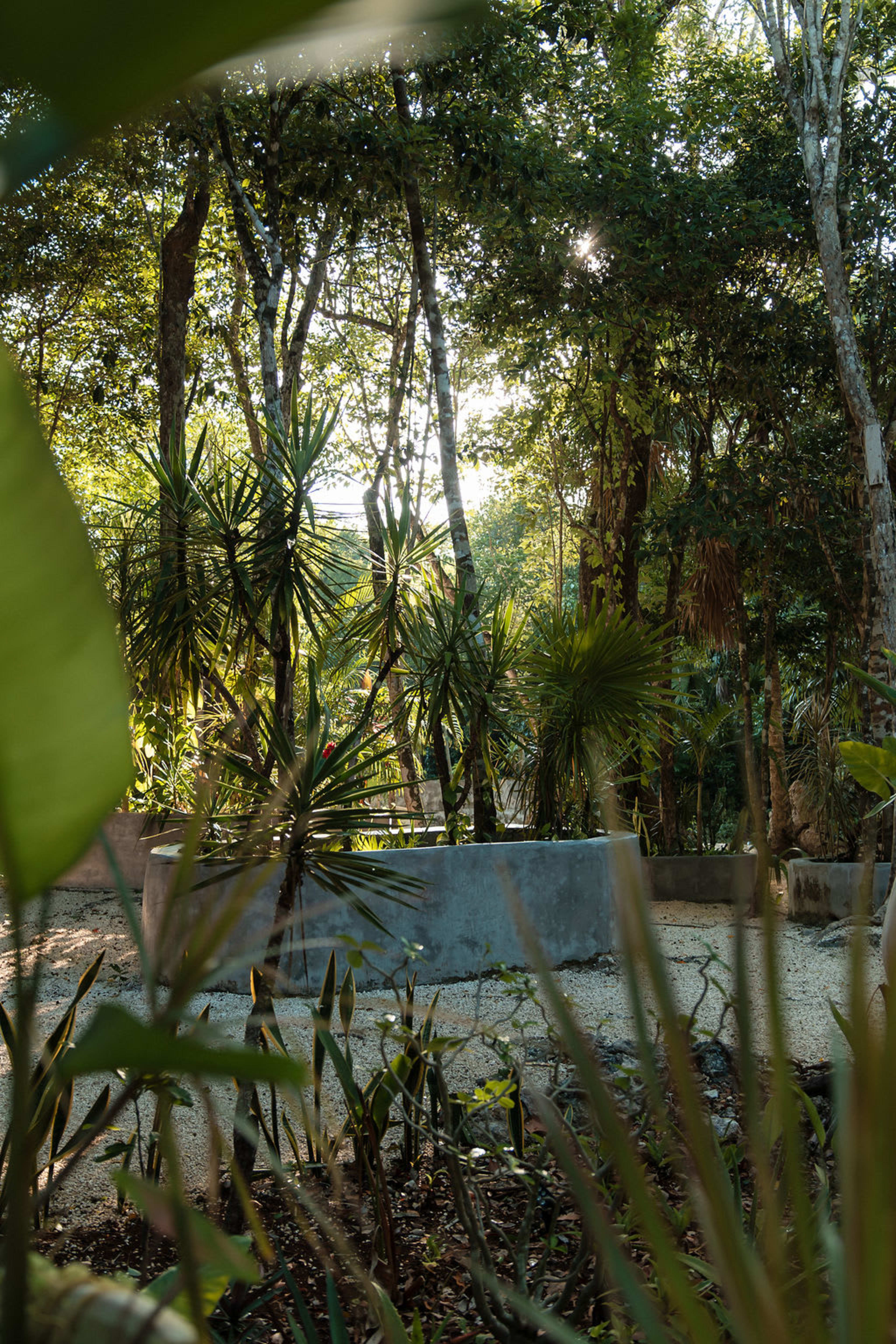 Casa Tattva - photo 4