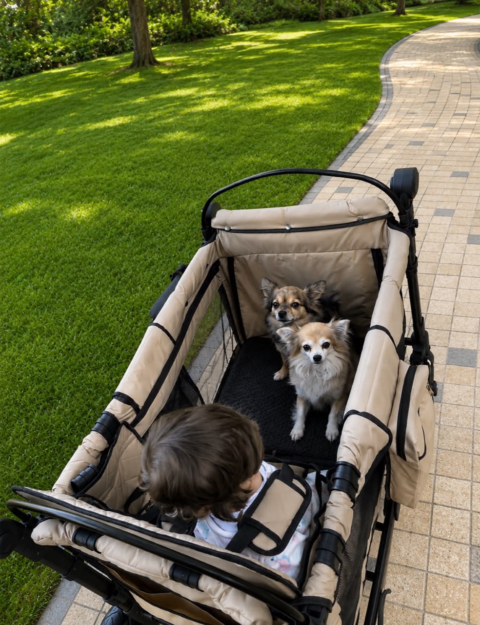 A child sitting in a STROLLZ. stroller wagon with two dogs during a family outing, showing that pets are an important part of modern family life.