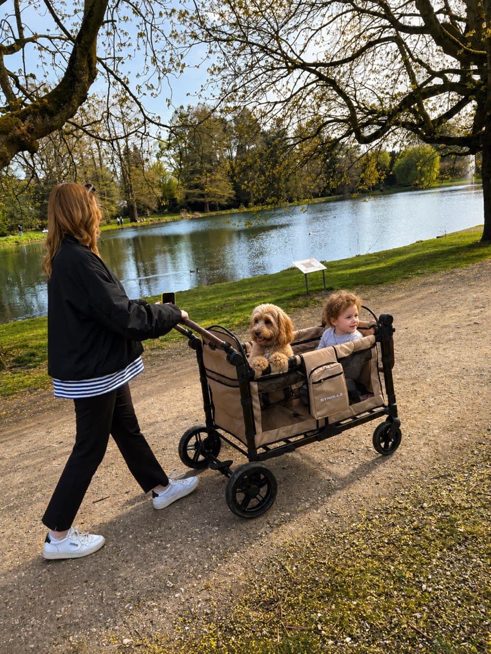 Child and family dog enjoying a walk together in a STROLLZ. stroller wagon during an outdoor family adventure.