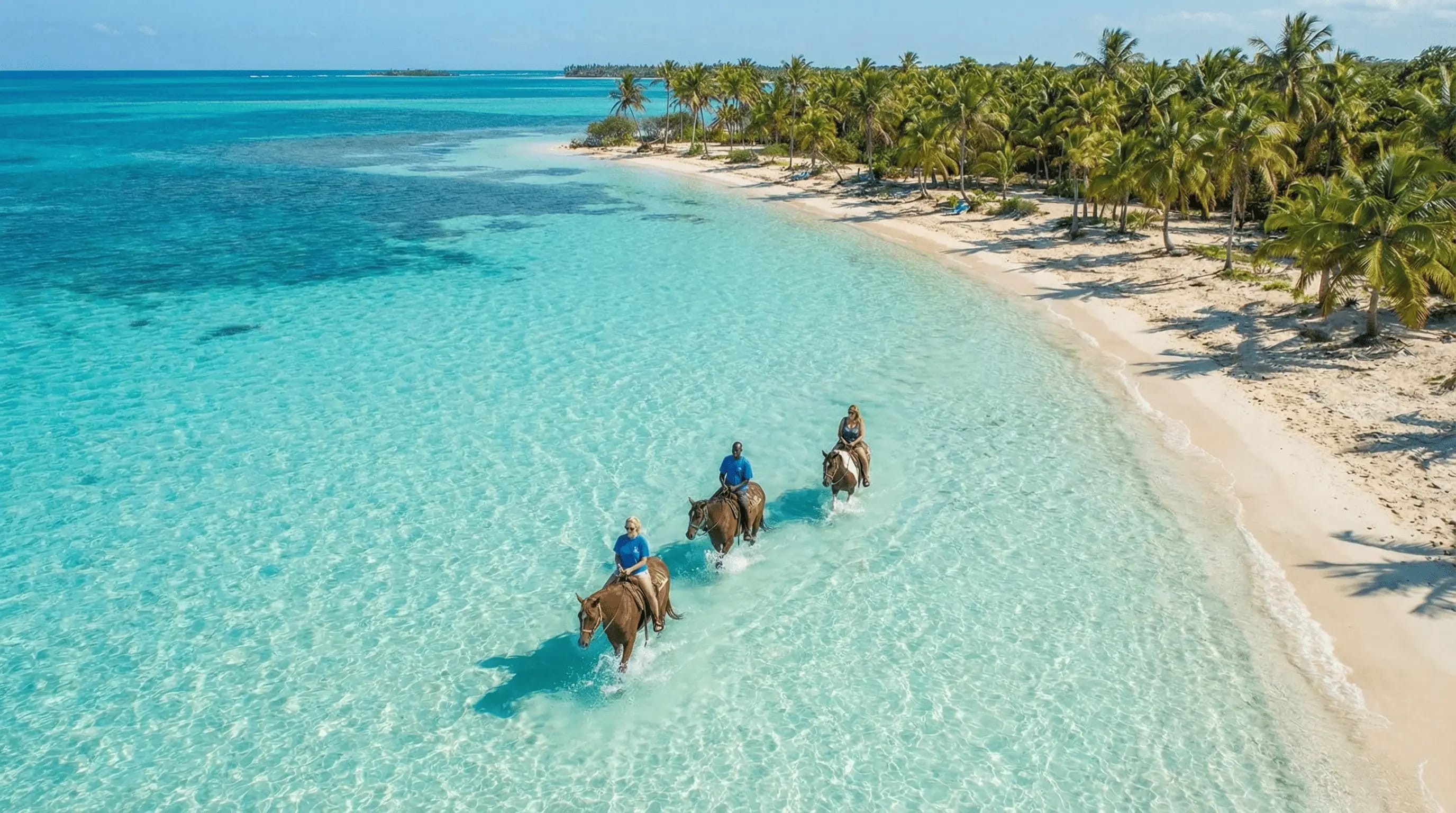 Beginner Friendly Horseback Ride and Swim, photo 2