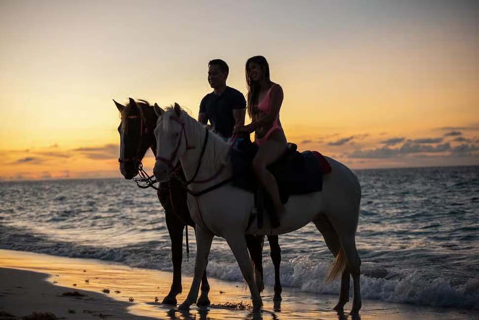 Unforgettable Sunset Group Ride: Beach & Ocean Magic thumbnail 2