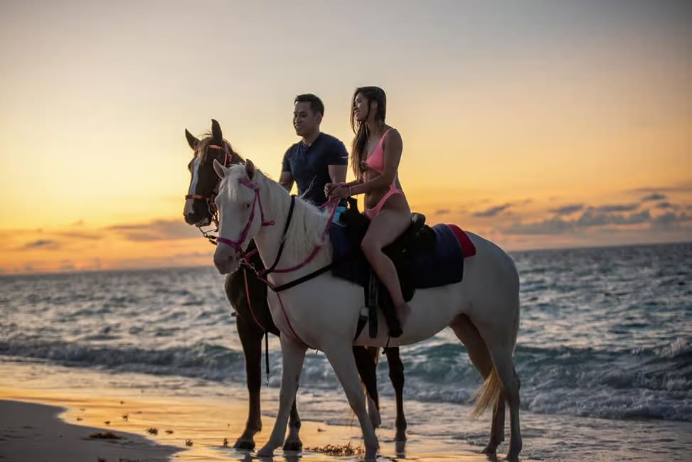 Unforgettable Sunset Group Ride: Beach & Ocean Magic thumbnail 3
