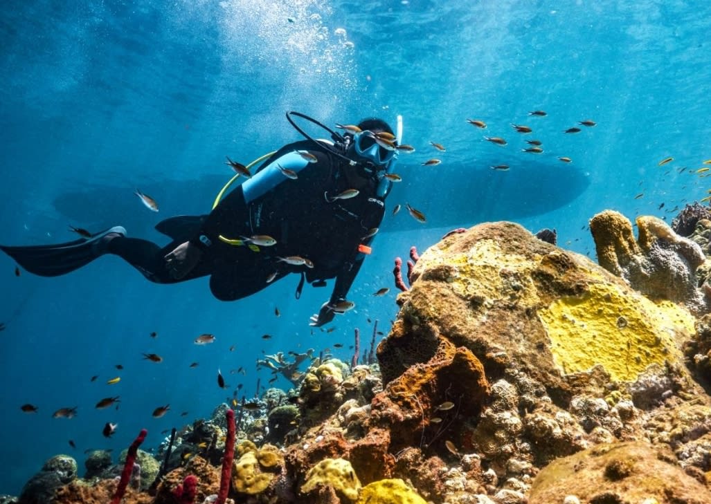 Discover Scuba Diving Montego Bay, Jamaica – 2-Hour Beginner Scuba Experience thumbnail 4
