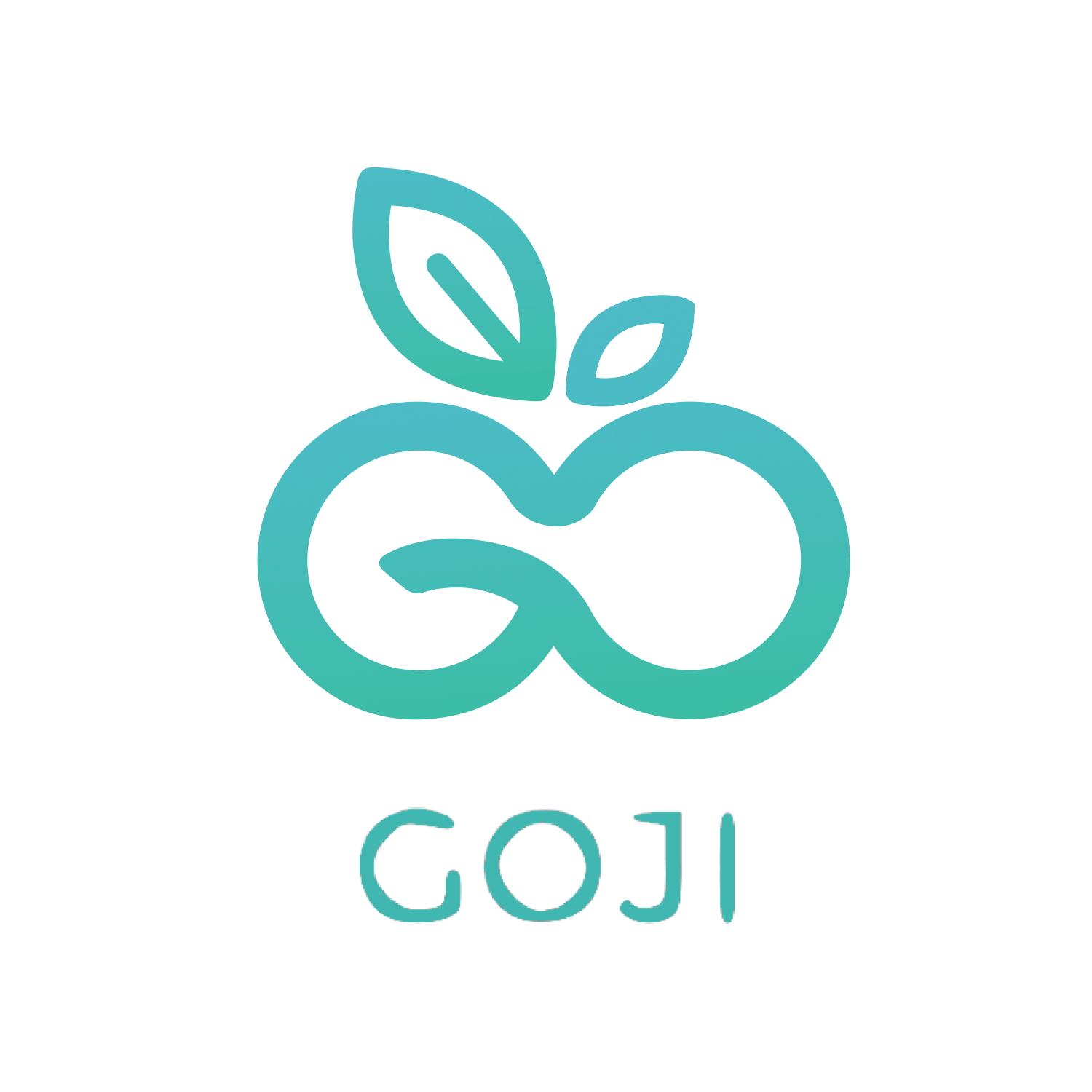 C корпорация. C Corporation. Goji logo.