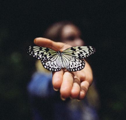 The Butterfly Effect in Freelancing