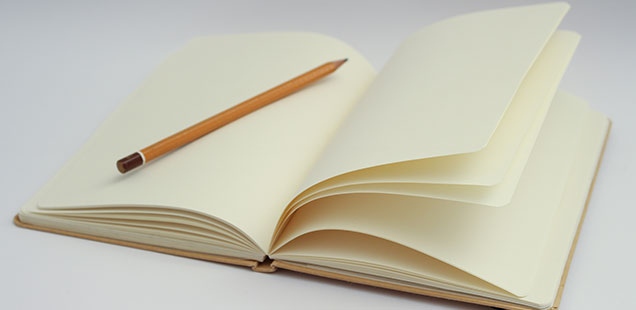How To View Your Work Diary On goLance